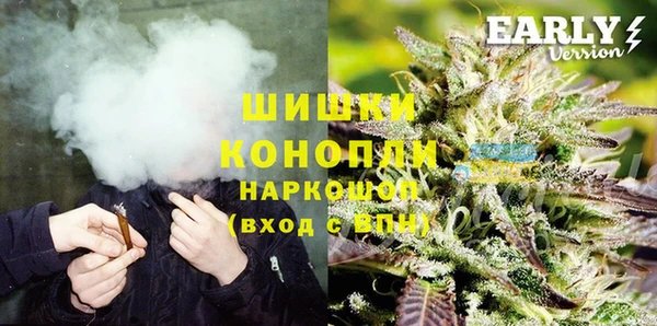 стаф Арсеньев