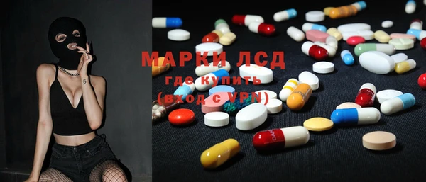 стаф Арсеньев