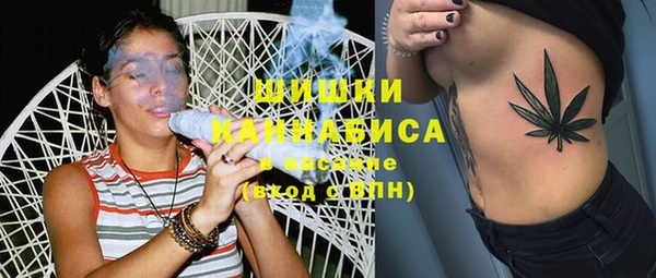 стаф Арсеньев