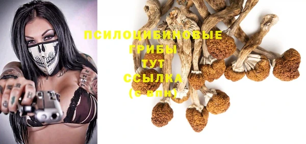 стаф Арсеньев