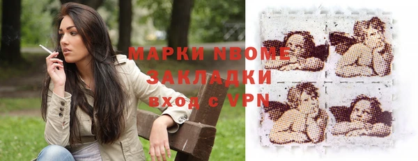 стаф Арсеньев
